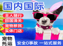 成都天府机场邮寄国际宠物托运 【国